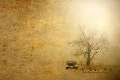 Supernatural Wallpapers   Wallpapers Cave
