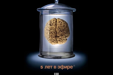 Humour Hd Wallpaper, Funny Hd Wallpapers