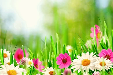 Samsung Wallpapers Hd