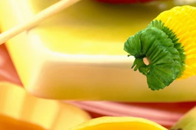 Samsumg wallpaper 1 moqzc6trbho3c7ay7j5gjzj23tmqcbh8jrtf03uxdc.jpg