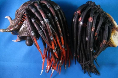 Hot Toys   MMS130   Predators: Berserker Predator (Full Spec ...