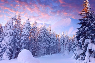 Winter Wonderland Computer Wallpapers, Desktop Backgrounds ...