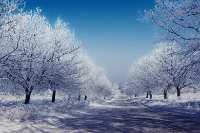 Eight Days On The Winter Road   HD Wallpapers Widescreen   1280x800