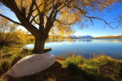 New Zealand Travel New Zealand Landscape Wallpapers 1680x1050 NO ...