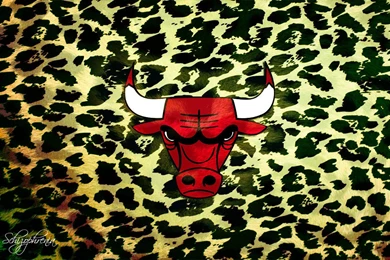 Chicago Bulls Wallpapers WF1041