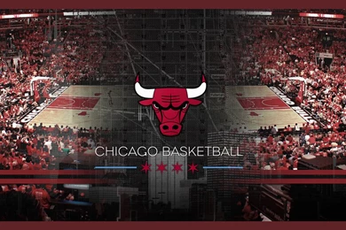Chicago Bulls Wallpapers