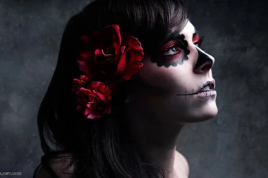 Halloween Pictures Of Witches   All Wallpapers New