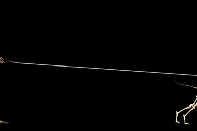 Top Matrix Dual Screen Wallpapers Wallpapers