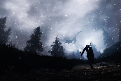 Skyrim, Starry, Night, Widescreen, Hd, Wallpaper, Download, Photos ...