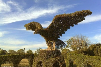 Download Iraq Hedges Wallpapers 960x698