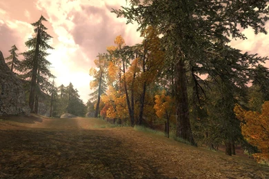 Lotro Wallpapers   Wallpapers Cave