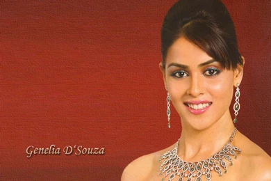 Wallpapers Genelia D Souza Hot 1024x768