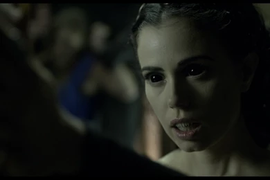 30 Days Of Night Dark Days Lilith