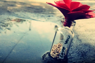 Romantic Love Heart Shaped Couple Desktop Wallpapers 11 － Other ...