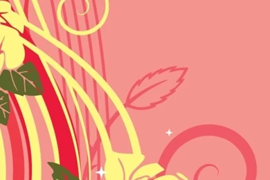 Pretty Pink Vector iPhone 5 Wallpapers