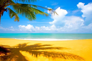 Summer Theme Wallpapers   Wallpapers Zone