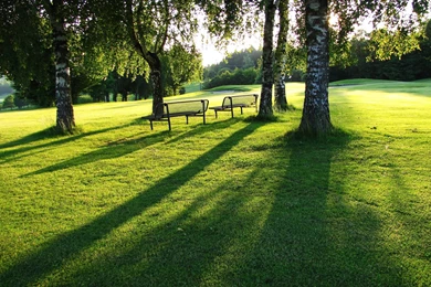 HD Central Park Wallpapers And Photos