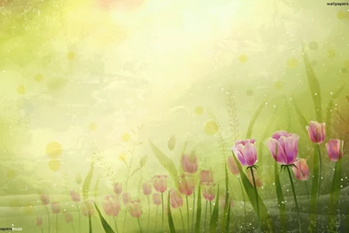 Painted Purple Tulips HD Wallpapers