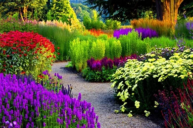 Park Alley Wallpaper,lovely HD Wallpaper,nature HD Wallpaper,nice ...