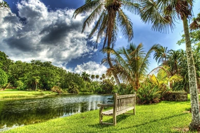 Summer In The Park >> HD Wallpaper, Get It Now!