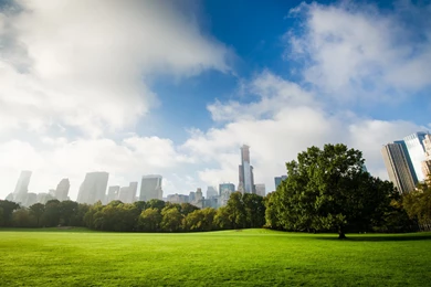 New York's Central Park HD Wallpapers. 4K Wallpapers