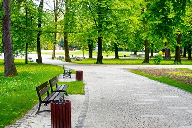 Fresh Spring Park Wallpaper, HD Wallpapers Downloads