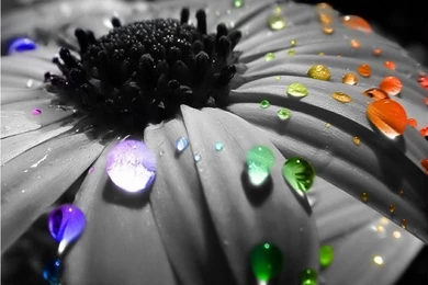 Rain Wallpapers High Definition Photo