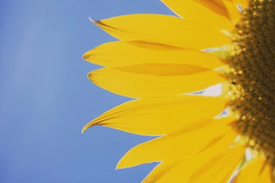 New Vista Nature Wallaper New Vista Nature Picture