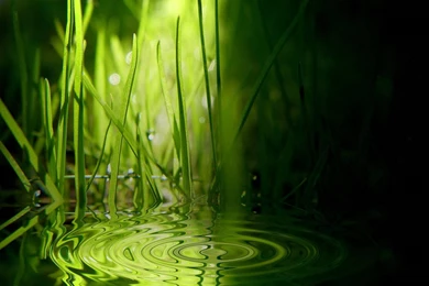 Ripples Desktop Wallpapers ~ Toptenpack.com