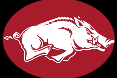 Arkansas Razorbacks, Ford Mft Wallpapers Size   JohnyWheels