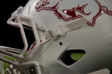 iPhone 5   Arkansas Razorback Backgrounds   Hog Database