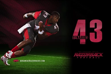ARKANSAS RAZORBACKS College Football Wallpapers