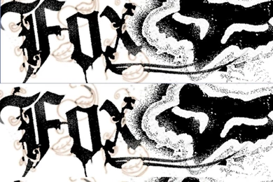 Black White Fox Racing Wallpapers 1024×768 Px