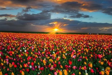 Images From Around Oregon State   Simply Wallpapers   Just Choose ...