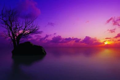 Color Hd Wallpapers Download