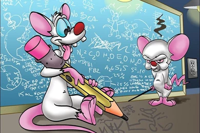 Pinky And The Brain Images