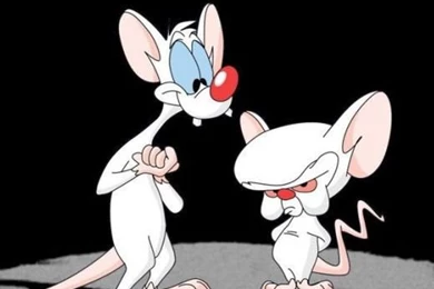 Pinky & The Brain iPhone 5 Wallpapers