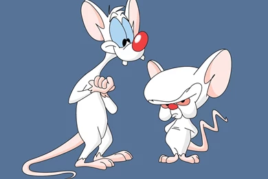 Pinky And The Brain Wallpapers   HotFreeWallpaper.com