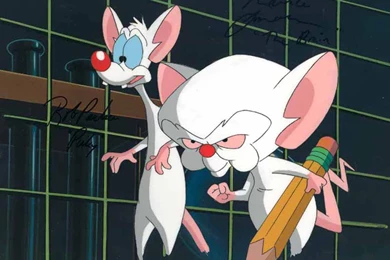 Pinky And The Brain Wallpapers   Crazy Frankenstein