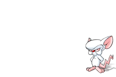 Pinky And The Brain HD Wallpapers And Backgrounds