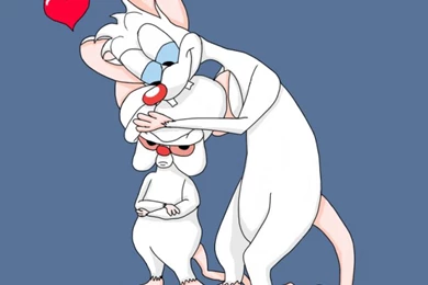 15 Quality Pinky And The Brain Wallpapers, Cartoons Desktop Background