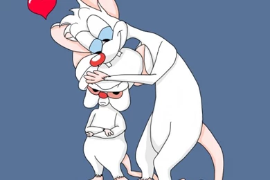 Pinky And The Brain   Film Animation Cartoon HD