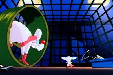 Pinky Night Hd Wallpapers   ImgMob