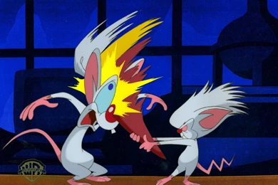 RePin Image: Pinky And The Brain Theme Song On Pinterest