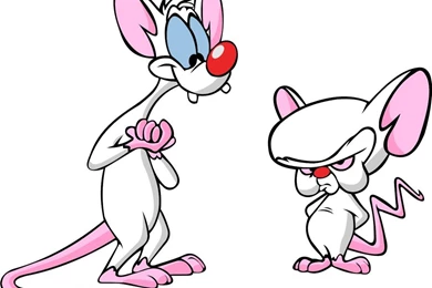 1155x768px Newport Rhode Island