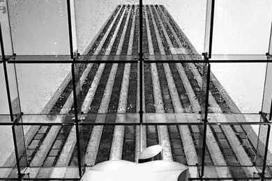 Pinky & The Brain iPhone 5 Wallpapers