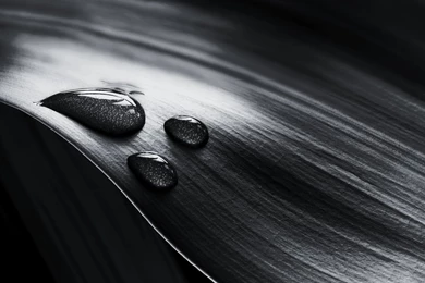 52 HD Black And White Wallpapers For Download