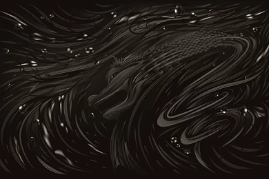 Black Water Dragon New Year 2012 Wallpapers