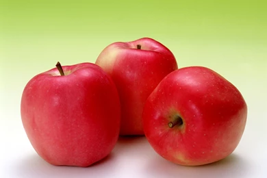 Beautiful Apple Fruit   New HD Wallpapers
