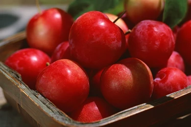 Fruit Apple Wallpapers